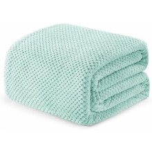 Super Soft Fleece King Blanket, Waffle Texture, Cozy & Lightweight (Mint Green, 90x104")