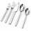 24-Piece Stainless Steel Flatware Set for 4 1