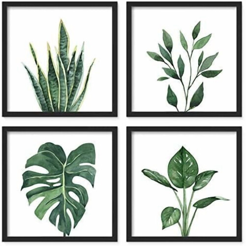 Conjunto de Arte de Parede Botânica 10x10 polegadas, Impressões em Acrílico Verde Sálvia