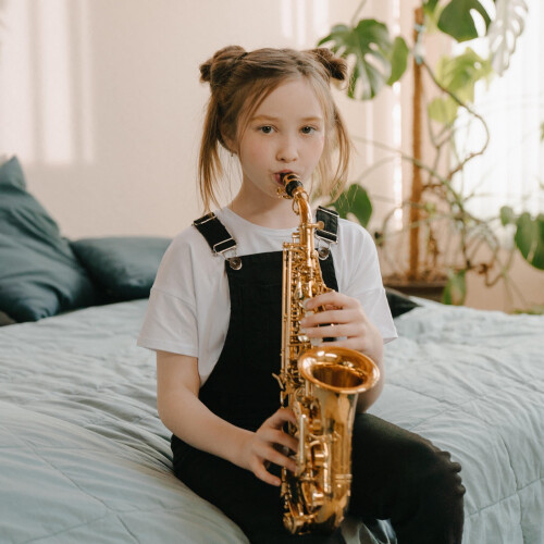 TOYMYTOY1Set Φορητό Κιτ Άλτο Σαξοφώνου Αξεσουάρ Ανταλλακτικού Καλαμιού από Πλαστικό