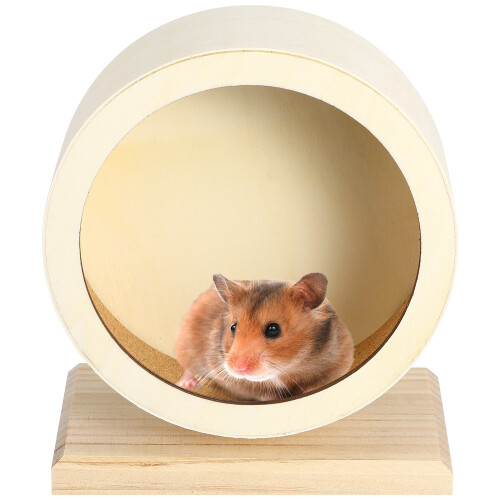 3Pièces D'exercice Autonomes Pour Hamsters Rats En Beige