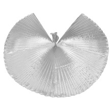 D'ailes De Danse Argentées En Pour Costume De Danse