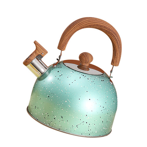 Stainless Steel Whistling Kettle2L 1