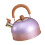 Stainless Steel Whistling Kettle2L 3