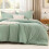 Queen Comforter Set Sage Green 3-Piece All-Season 1
