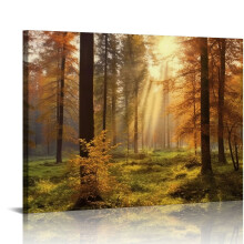 Quadro em tela "Floresta Misteriosa" (20x16 polegadas)
