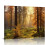 Quadro em tela "Floresta Misteriosa" (20x16 polegadas) 1