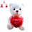 Witte teddybeer met LED-nachtlampje (20 cm) 1