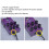 Pedale Delay - 9 tipi di Delay, viola, 11,262,5 cm 6