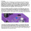 Pedale Delay - 9 tipi di Delay, viola, 11,262,5 cm 5