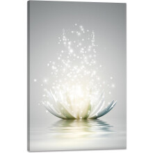 Impression sur toile, tableau floral de lotus, décoration murale pour bureau zen, affiche de méditation, œuvre d'art moderne encadrée et prête