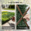 Outsunny Outsunny Artificial Grass Wall Panel, Greenery Wall, 100x100 cm, Green 5