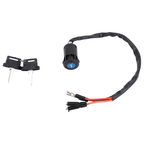 Ignition Key Switch for 300 Fourtrax 2x4 ATV 1990-2000 1