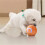 PetToys  Electric Automatic Jumping Rolling  Interactive Game Rechargeable Moving Puppy/Kitty Toy 2