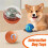 PetToys  Electric Automatic Jumping Rolling  Interactive Game Rechargeable Moving Puppy/Kitty Toy 4