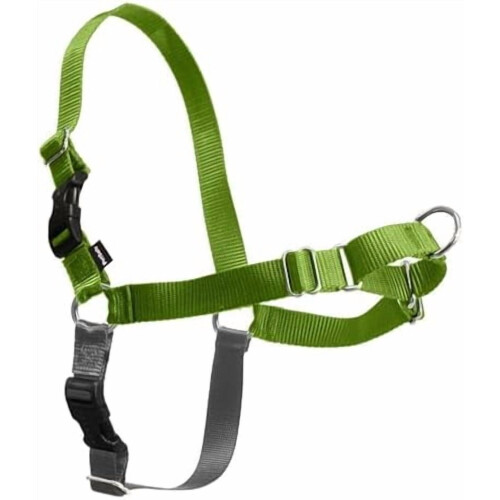 Ζώνη σκύλου Easy Walk No-Pull – Αποτρέψτε το τράβηγμα, βελτιώστε τους τρόπους του