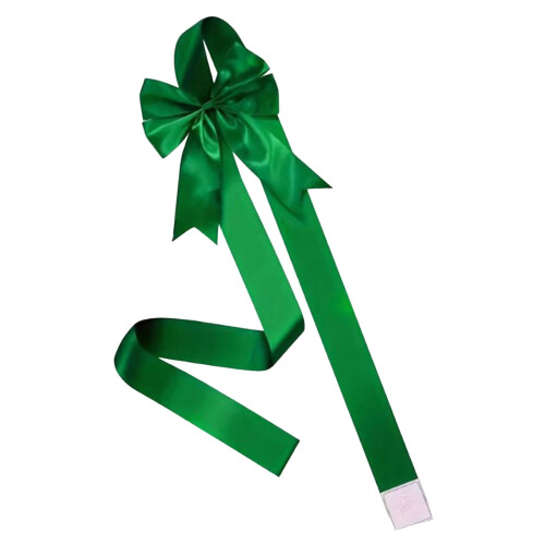 Rode fluwelen kerstkaststrik 20x20cm 2m lint