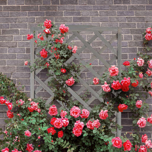 Caixa de plantio cinza com treliça 2