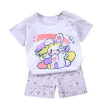 Peuteroutfit voor kinderen, baby's en jongens en meisjes: schattige shirts met korte mouwen en bijpassende shorts met puppyprint, casual zomeroutfits.