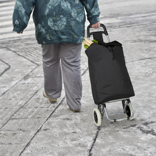 Carrello della spesa pieghevole 2