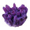Natürlicher Amethyst-Kristallcluster, 1,2 Pfund 1