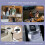 Desktop Small Ice Maker  and Convenient Home and Office Camping Car  Ice Making Automatic Ice Box US Plug White 4