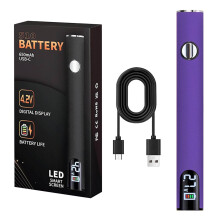 Wiederaufladbarer USB-Lötkolben, 650 mAh, digitale LED-Temperaturanzeige, einstellbar, 510er-Gewinde, tragbar – für Heimwerker und