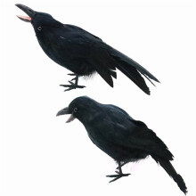Décoration d'Halloween réaliste avec corbeau noir – Statues de corbeaux artificiels à plumes pour jardin, clôture, décoration extérieure