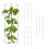 Set di 4 supporti rotondi per pomodori, 60 cm 9