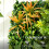 Outsunny Outsunny Grass Wall Panels, Greenery Backdrop Panels, Green 4