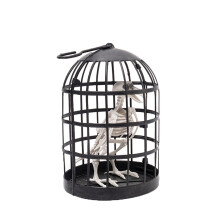 Corbeau squelette dans une cage suspendue de 25 cm – Décoration d'Halloween réaliste pour intérieur/extérieur | Convient pour porche, jardin,