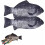 Estojo para lápis em formato de peixe com fecho de zíper (pacote com 2) 1