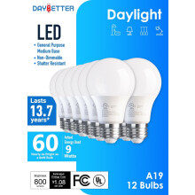 Ampoules LED A19 5000K Lumière du jour 800 lm 9 W E26 (lot de 12)