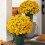 Funsdecor Τεχνητή Μαργαρίτα Ηλιοβασιλέματος για Μαμάδες Εξωτερικού Χώρου με 1