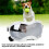 Large Breed Dog Goggles Sunglasses PC UV Wind Proof Adjustable Strap Silver 5