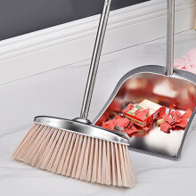 Homoyoyo Stainless Steel Broom with Nylon Bristles, Khaki Dustpan, Pet Hair Removal, Floor Sweeper for Home Cleaning