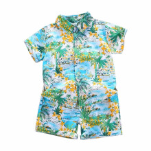 Conjunto hawaiano para niños pequeños, camisetas estampadas y pantalones cortos para bebés, ropa informal de playa, camisetas elegantes de manga