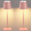 Pink Cordless Table Lamp Set of 2 1