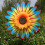 Sonnenblumen-Windmühlen-Gartendekoration (1 Stück) 1