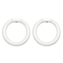Lot de 2 ampoules fluorescentes circulaires FC8T9/CW, 20 cm (8 pouces), 22 W, pour plafonnier circulaire.
