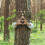 4-osainen Tree Face 5