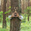 4-osainen Tree Face 14
