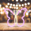 Butterfly LED String Lights for Home Decor, 23x20CM Butterfly Shaped Decorative Lighting 1