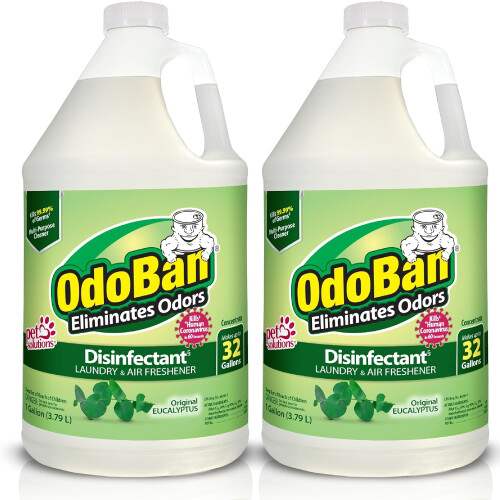 Desinfeksjons- og luktfjernerkonsentrat 2x1Gal