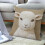 Ensemble de coussins à motif animal 45x45cm 1