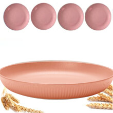 Assiettes plates incassables en paille de blé de 23 cm – Réutilisables, compatibles micro-ondes et lave-vaisselle, légères, pour enfants et