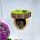 Jumping Spider Hideout, Magnetic Jumping Spider , Spider Climbing Platform, Handmade Spider Fence 2