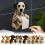 Dalmatiankoiran wc-paperiteline seinälle 1