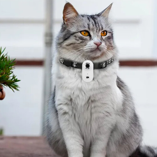 Collier caméra pour chat 4K/1080P ABS 280mAh 128 Go Petit 2