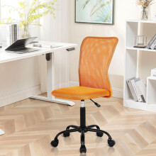 Ergonomic mesh office chair with lumbar support 1